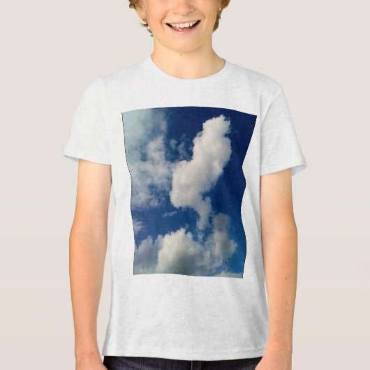 水平雲 トライブレンドＴシャツ (正面)