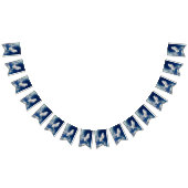 水平雲 バンティングフラッグ (全)