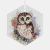 水彩かわいい小さなフクロウ鳥自然牧場アート ガラスオーナメント (裏面)