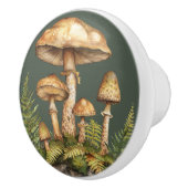 水彩のキノコ 岩 グリーンシダ セラミックノブ (右)