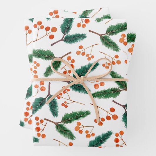 水彩の枝と果実の冬 ラッピングペーパーシート (インサイチュ)