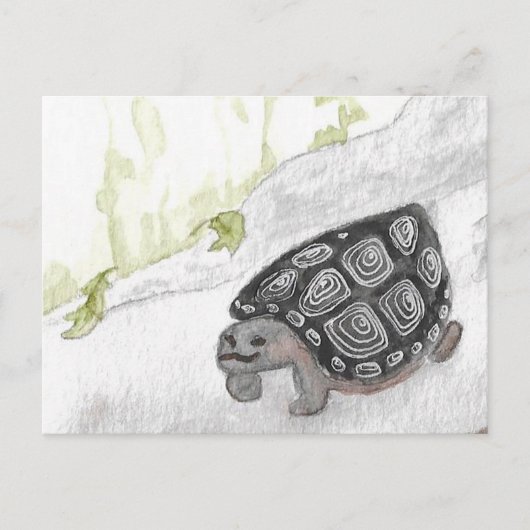 水彩の森の亀 ポストカード (正面)
