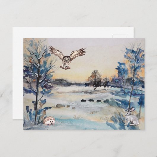 水彩の森ふくろううさぎ冬の風景 ポストカード (正面/裏面)