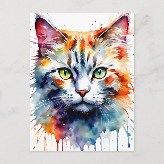 水彩の猫のマルチカラースプラッシュアート ポストカード (正面)