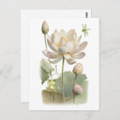 水彩の蓮の花、蛙とトンボ ポストカード (正面/裏面)