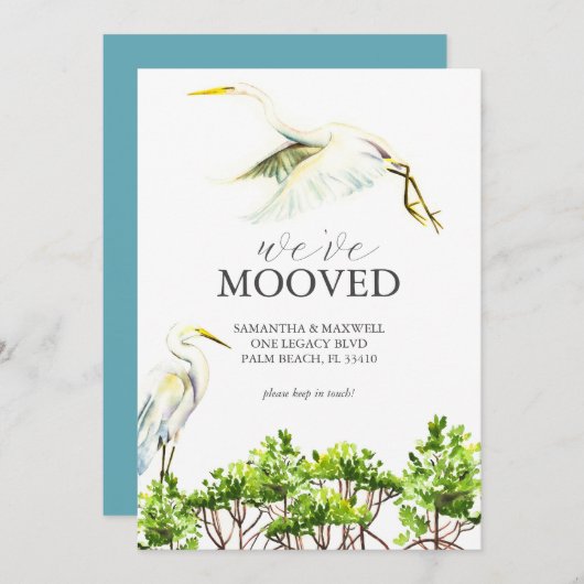 水彩の鳥とマングローブの動きのお知らせ セーブザデート (正面/裏面)