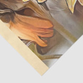 水彩ひまわりコレクシエレガントョン 薄葉紙 (詳細)