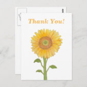 水彩ひまわりサンフラワーサンキューポストカード ポストカード (正面/裏面)