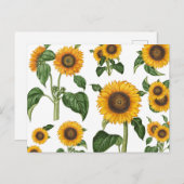 水彩ひまわり植物観葉緑 シーズンポストカード (正面/裏面)
