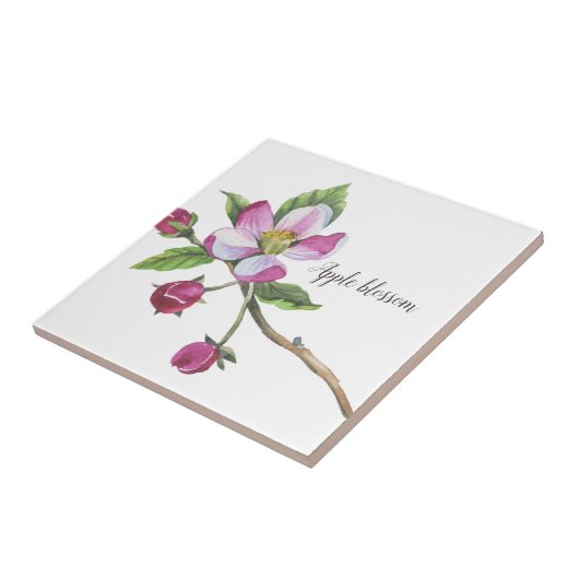 水彩りんご植物学 タイル (側面)