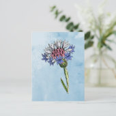 水彩アザミ ポストカード (スタンド正面)