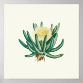 水彩アンティーク植物性サボテンプリントポスター ポスター (正面)