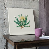 水彩アンティーク植物性サボテンプリントポスター ポスター