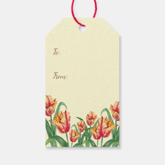 水彩イエローオウムのチューリップフローラアート ギフトタグ (裏面)