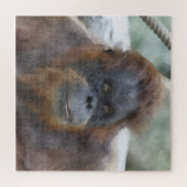 水彩オラン ジグソーパズル (横)