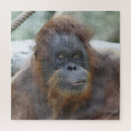 水彩オラン ジグソーパズル