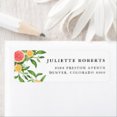 水彩オレンジとグレープフルーツ ラベル (インサイチュ)