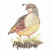 水彩カリフォルニアウイルバード自然アート シール (正面)