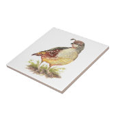 水彩カリフォルニアウズイルバードワイルドライフアート タイル (側面)