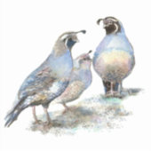 水彩カリフォルニアウズイルバード自然野生生物 シール (正面)