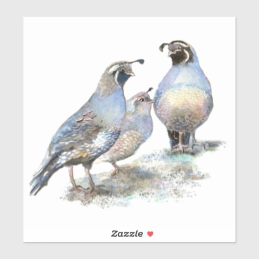 水彩カリフォルニアウズイルバード自然野生生物 シール (シート)