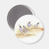 水彩カリフォルニアウズラ、鳥、自然、動物 マグネット (正面/裏面)