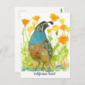 水彩カリフォルニアポピーズウズバード ポストカード (正面/裏面)