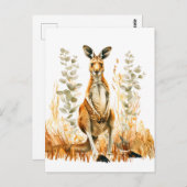 水彩カンガルーin牧草地 ポストカード (正面/裏面)