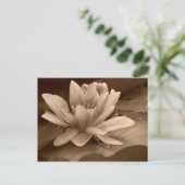 水彩カード ポストカード (スタンド正面)