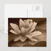 水彩カード ポストカード (正面/裏面)