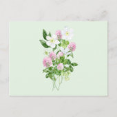 水彩クローバー花と葉組成物 シーズンポストカード (正面)