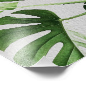 水彩グリーン葉 フォトプリント            (角)