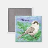 水彩グレー、グレーまたはカナダジェイカスタムバード マグネット (正面/裏面)