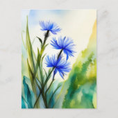 水彩コーンフラワー、ポストクロッシング ポストカード (正面)