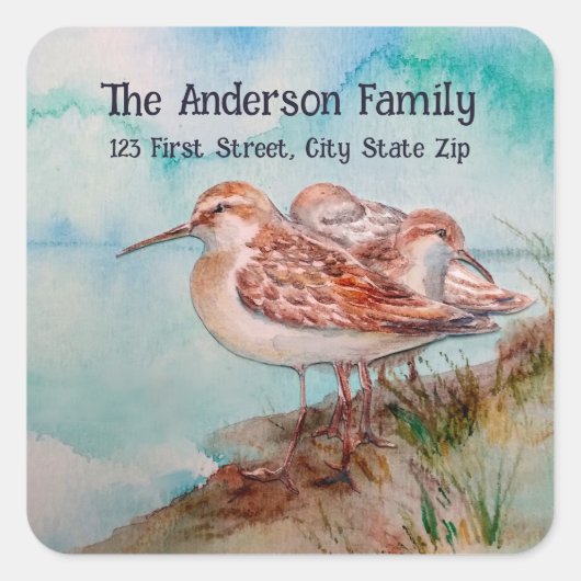 水彩サンドパイパー水鳥自然アート スクエアシール (正面)