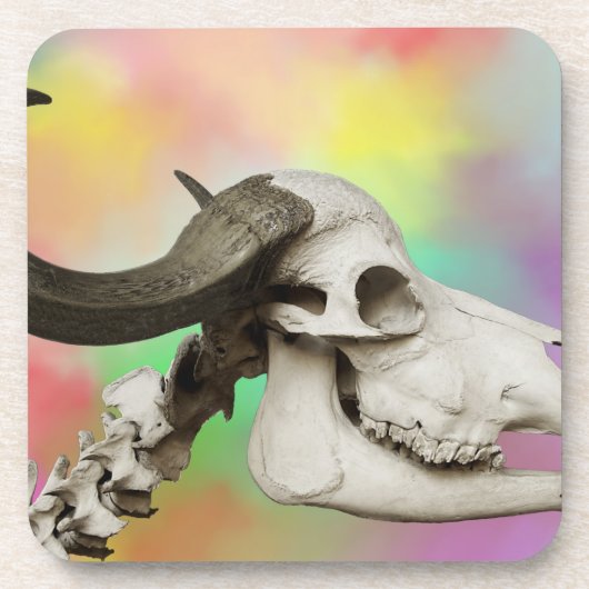 水彩スカル背景の水牛 コースター (正面)