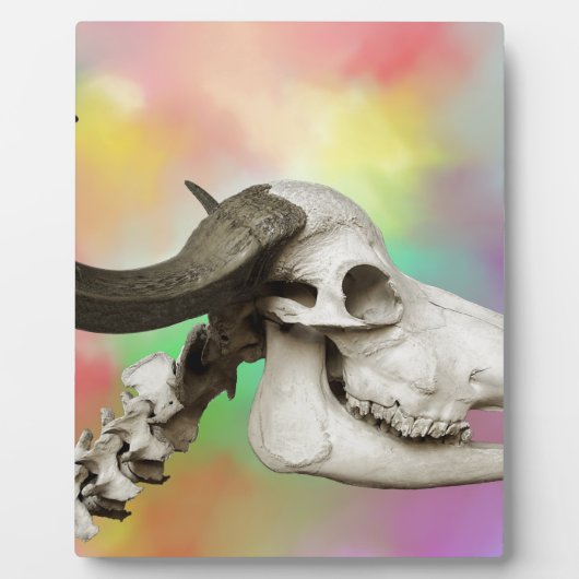 水彩スカル背景の水牛 フォトプラーク (正面)