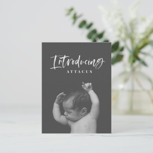 水彩スクリプト文字写真の誕生発表 案内ポストカード (スタンド正面)