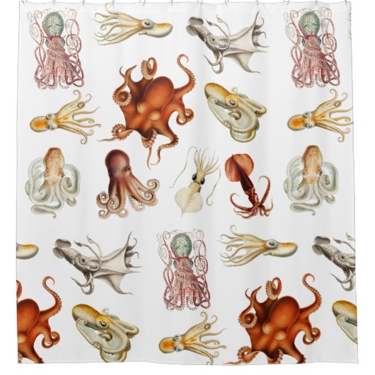水彩タコ頭足類海動物 シャワーカーテン (正面)