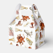 水彩タコ頭足類海動物 フェイバーボックス (裏面サイド)