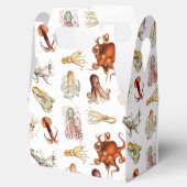 水彩タコ頭足類海動物 フェイバーボックス (オープン)