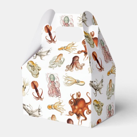 水彩タコ頭足類海動物 フェイバーボックス (正面サイド)