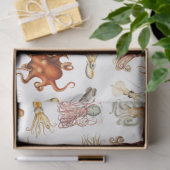 水彩タコ頭足類海動物 薄葉紙 (ギフト)