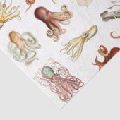 水彩タコ頭足類海動物 薄葉紙 (詳細)