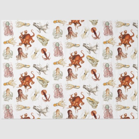 水彩タコ頭足類海動物 薄葉紙 (正面)