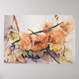 水彩チェスナッツハリネズミ ポスター