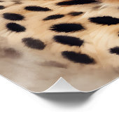 水彩チーズno 9 ポスター (コーナー)