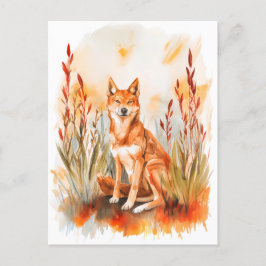 水彩ディンゴin草 ポストカード
