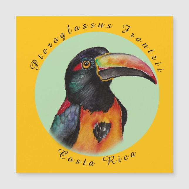 水彩トゥーカン (正面)