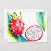水彩ドラゴンフルーツはっきりした入りカラーオンホワイト ポストカード (正面/裏面)